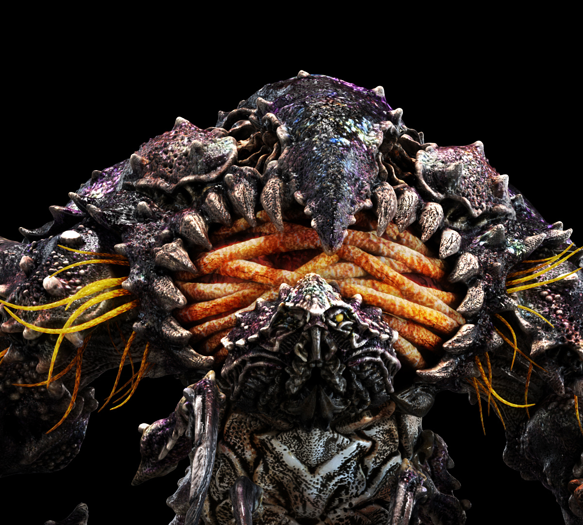 VoodooVisual_Crab_01.jpg