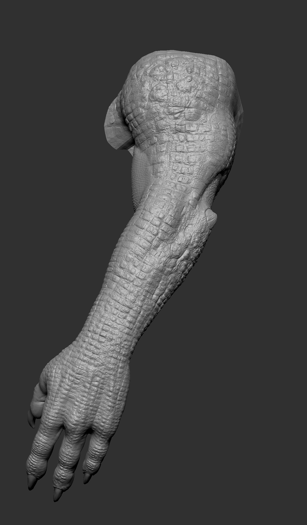 HAND1.jpg