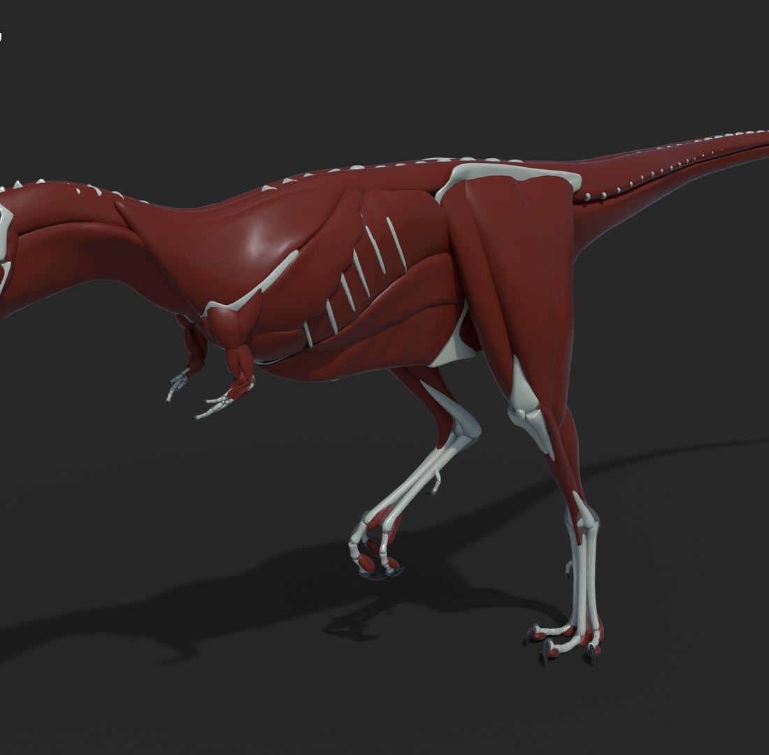 Raptorex4_by_Jeannot_Landry_2018.jpg