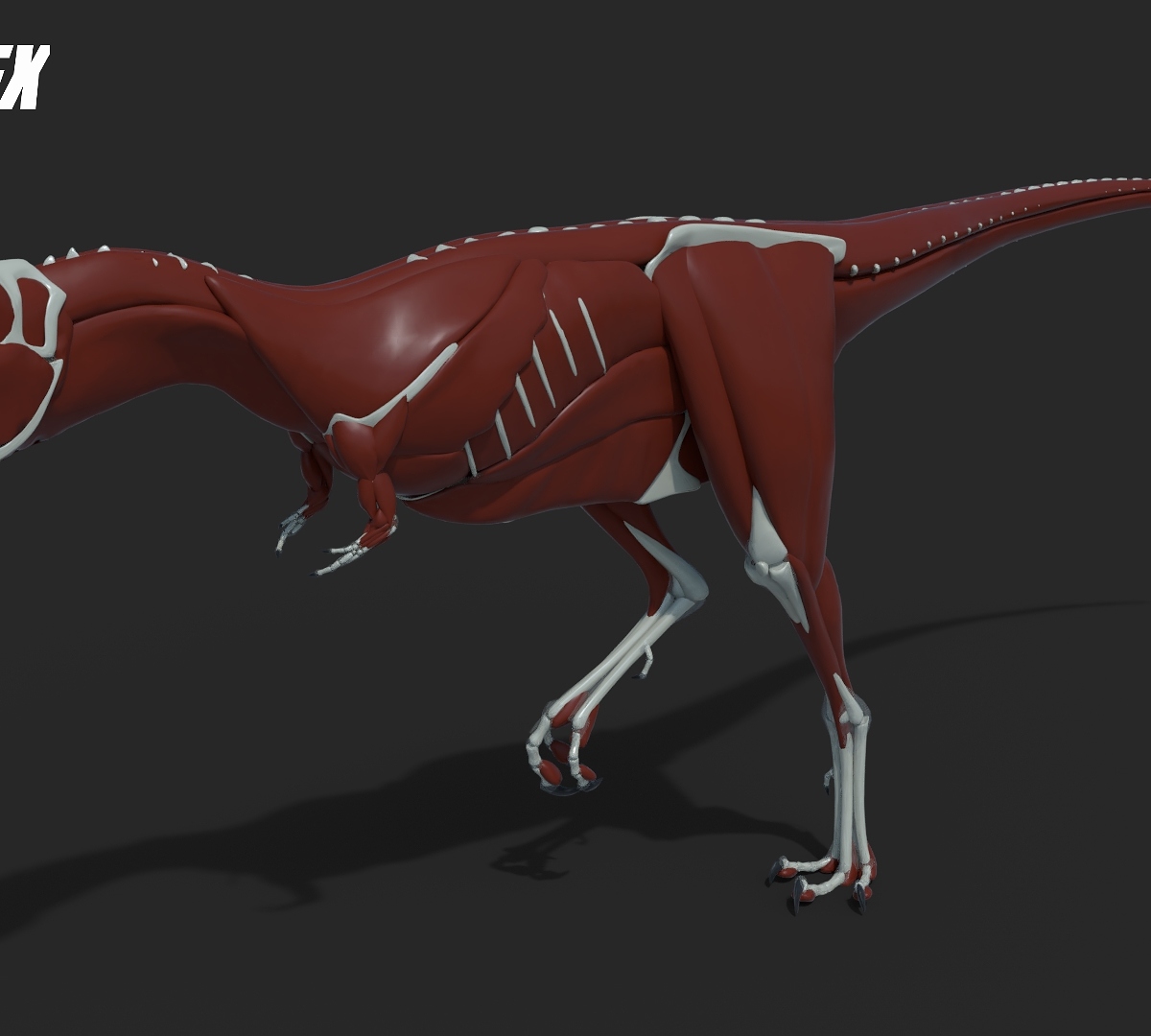 Raptorex4_by_Jeannot_Landry_2018.jpg