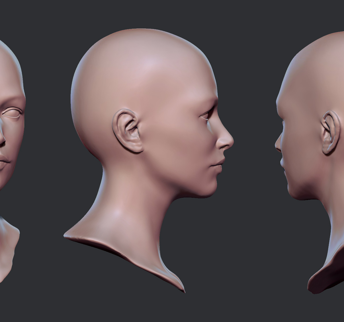 female face reference front and side