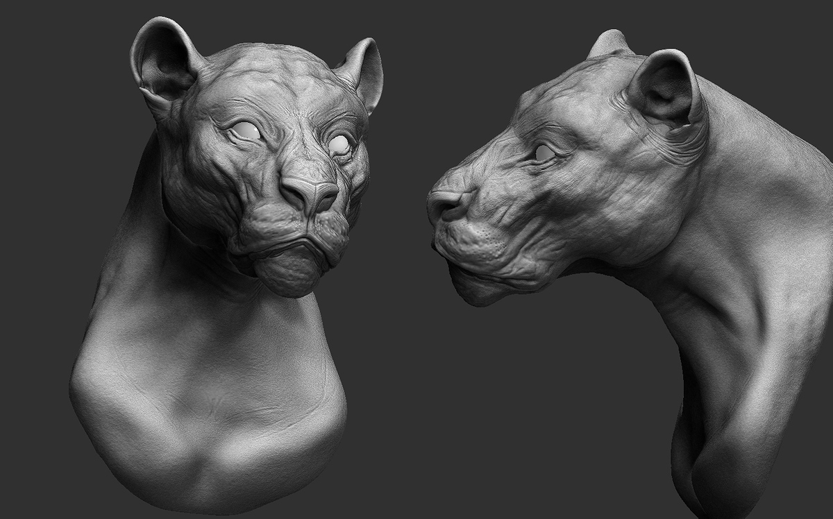 Lion2