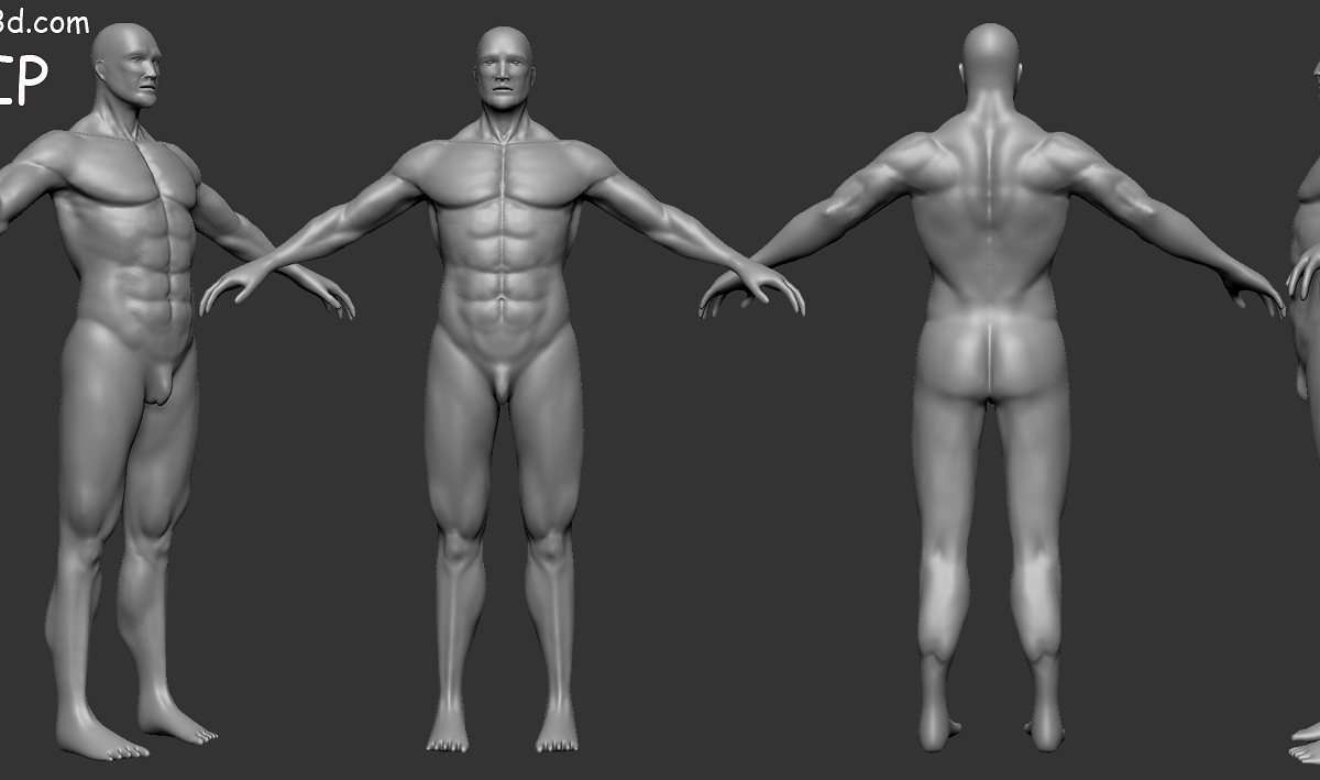 OS_WIP.jpg