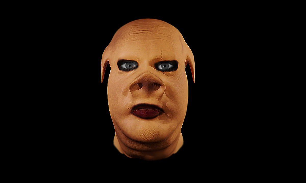 pig done 1.jpg