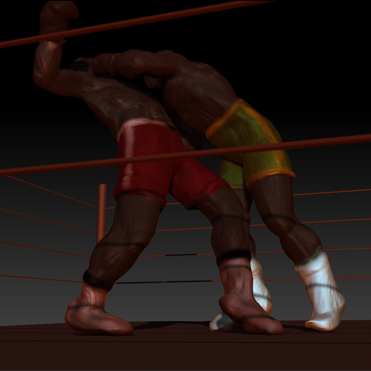 BOXER-IN-PERSPECTIVE-1.jpg