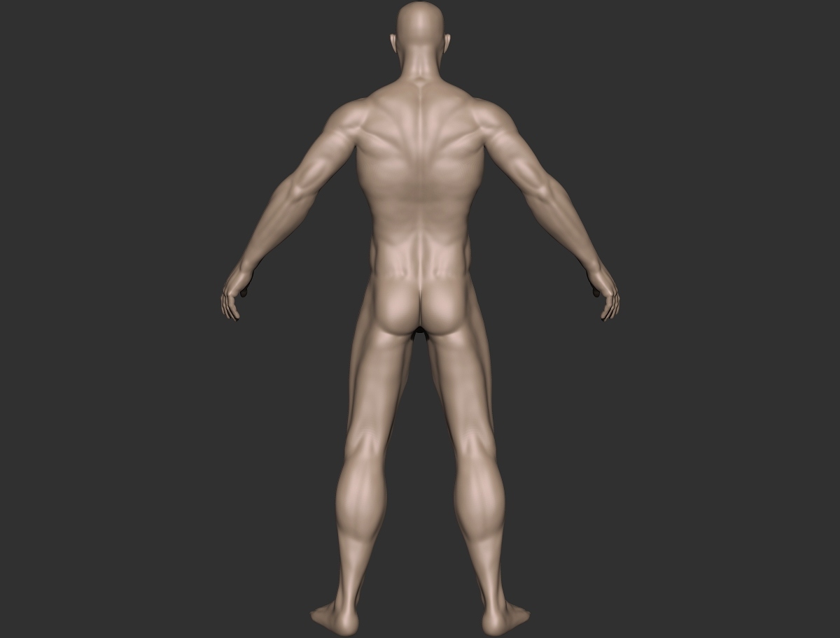 male hero_back.jpg
