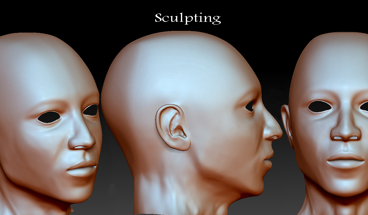SculptingProgress3.jpg