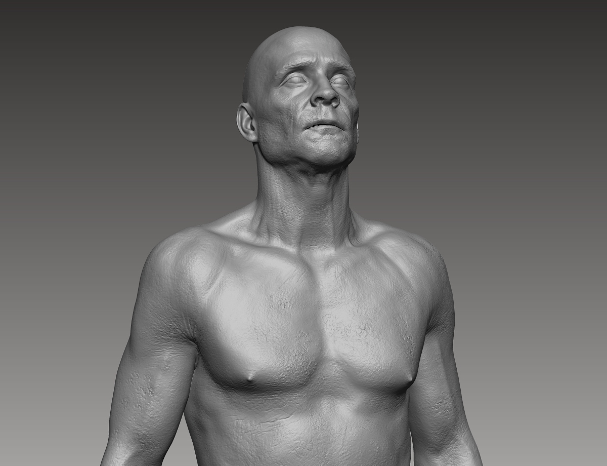 8ZbrushPhase6.jpg