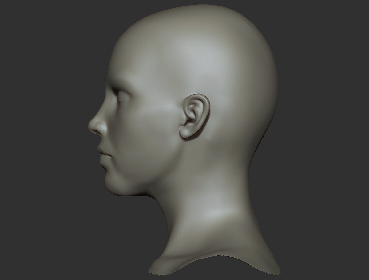 femaleface_profile.jpg