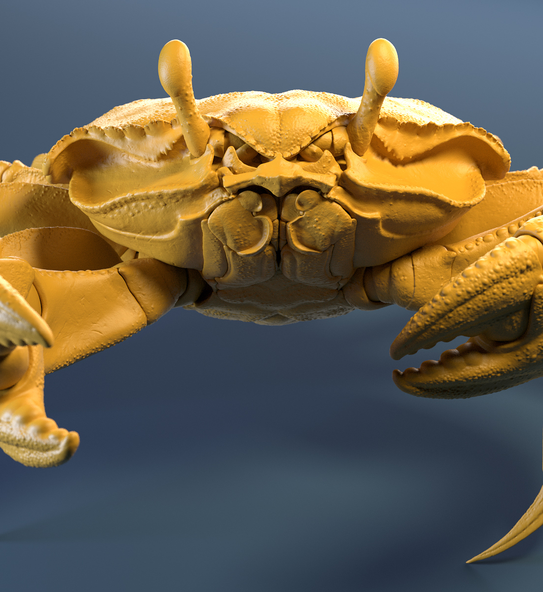 Crab_Yellow_Clay_Shot_01.jpg