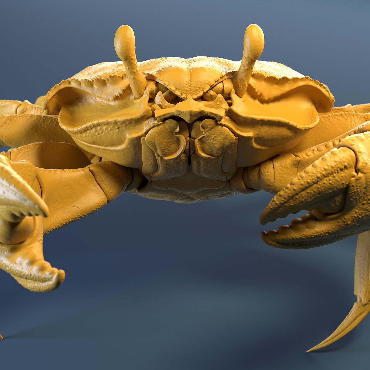 Crab_Yellow_Clay_Shot_01.jpg