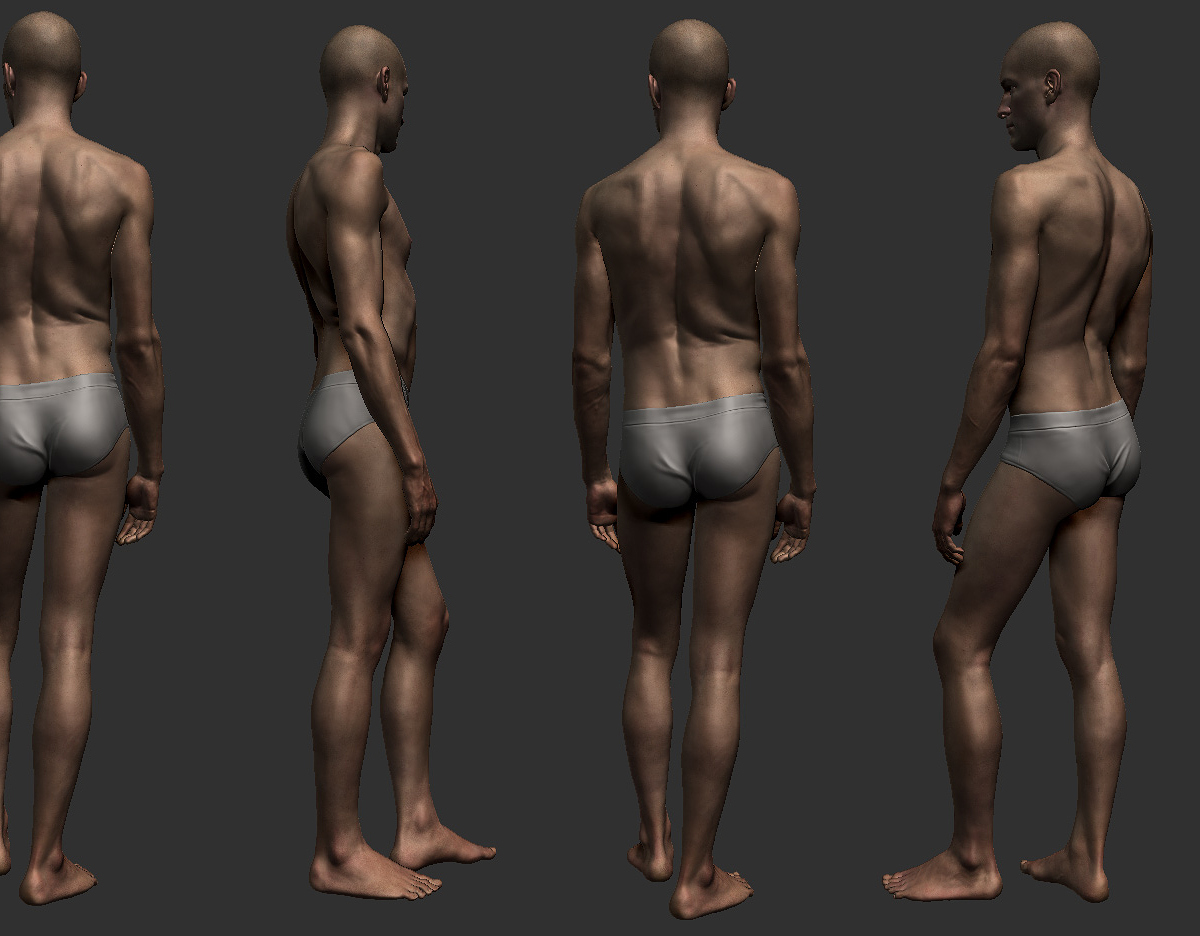 anatomyCharacterStrip2.jpg