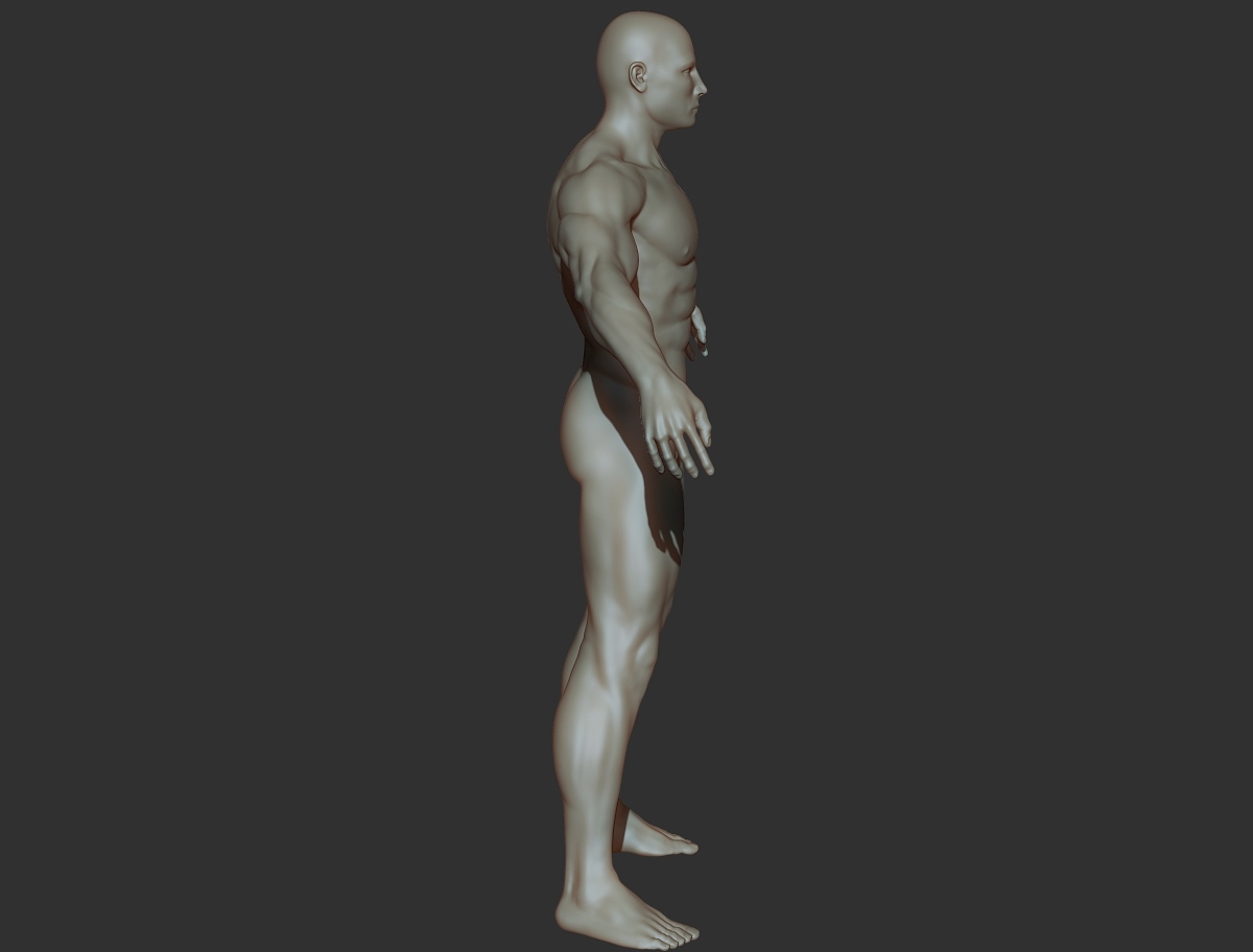 body builder_profile.jpg