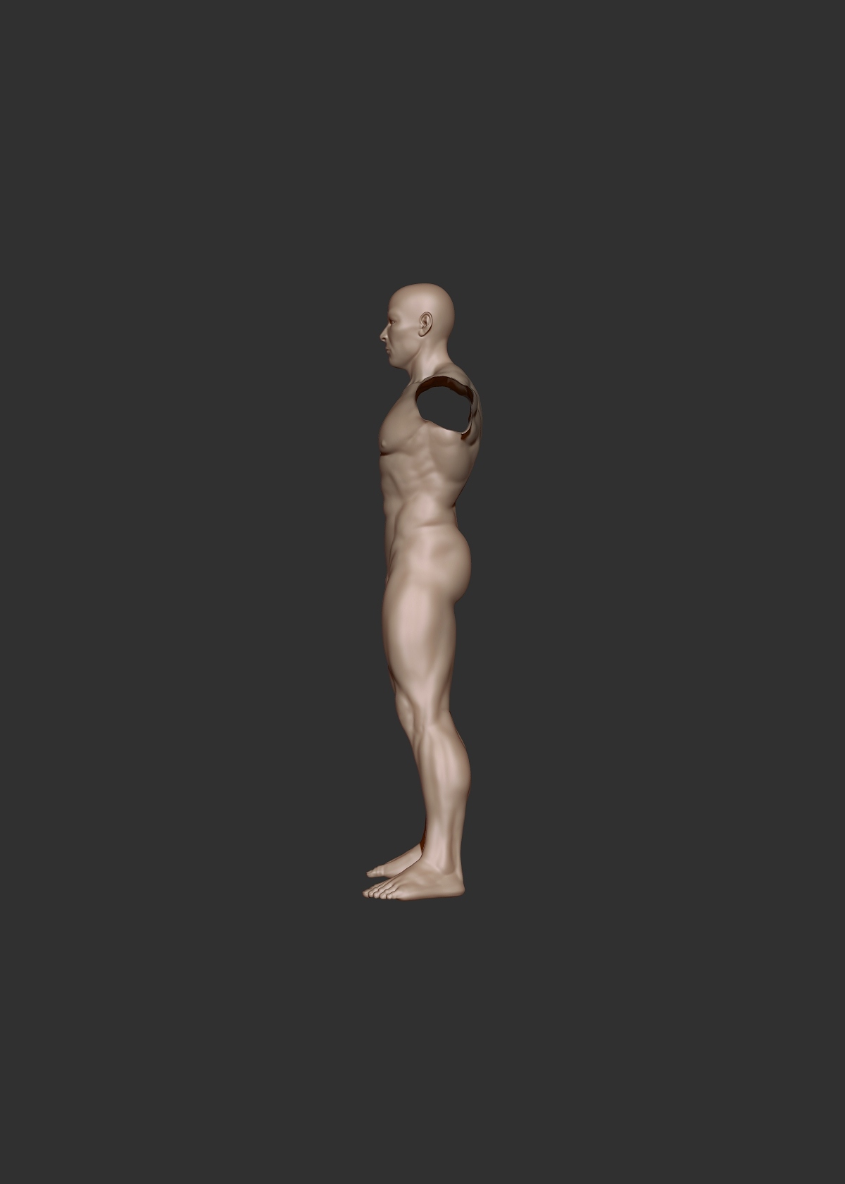 male study_noarms.jpg