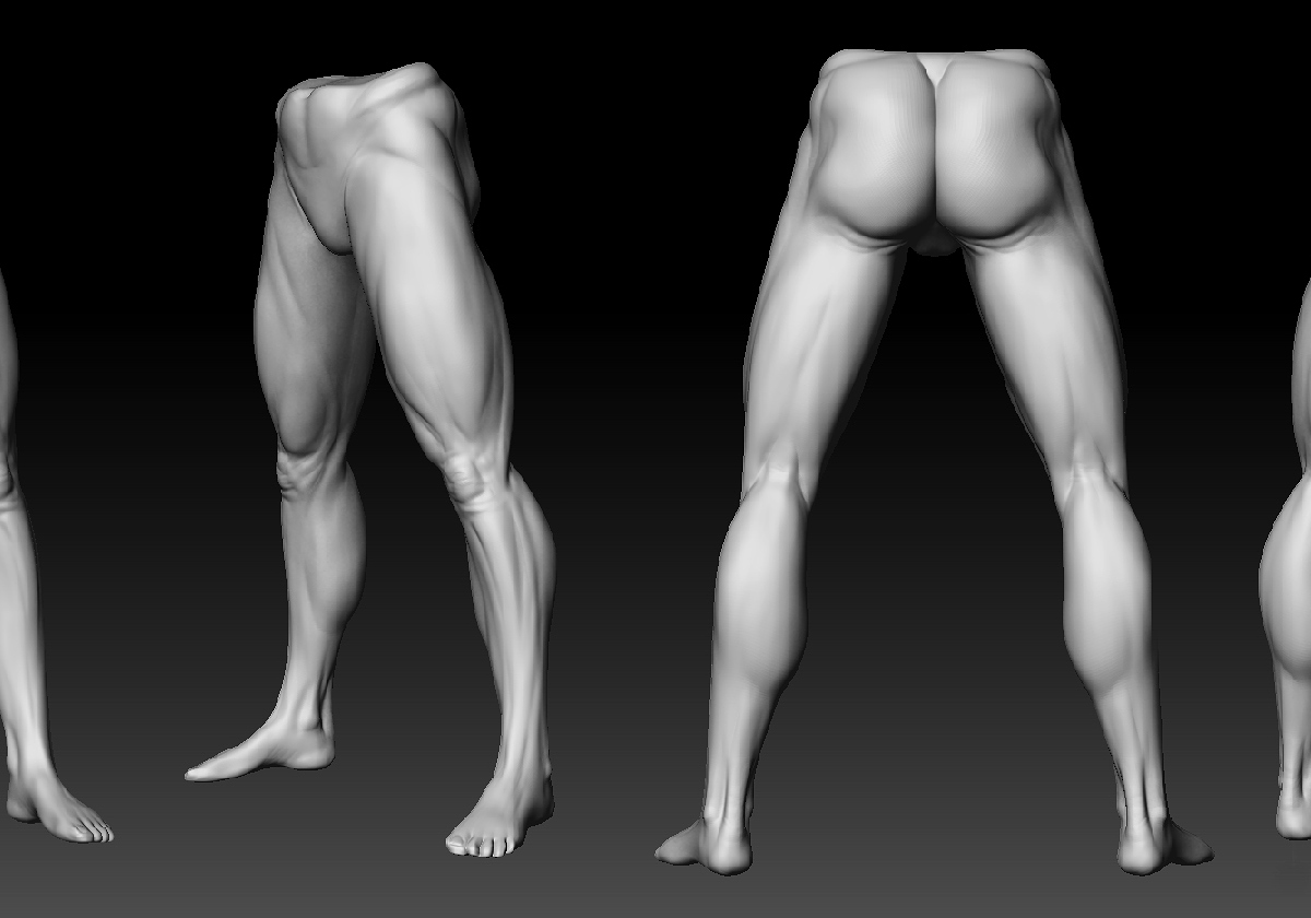 lowerBody.jpg