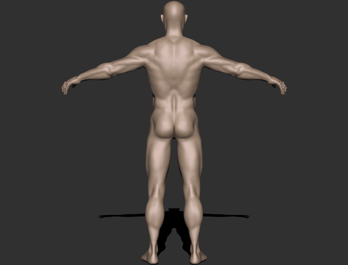 bodybuilderupdate_back.jpg