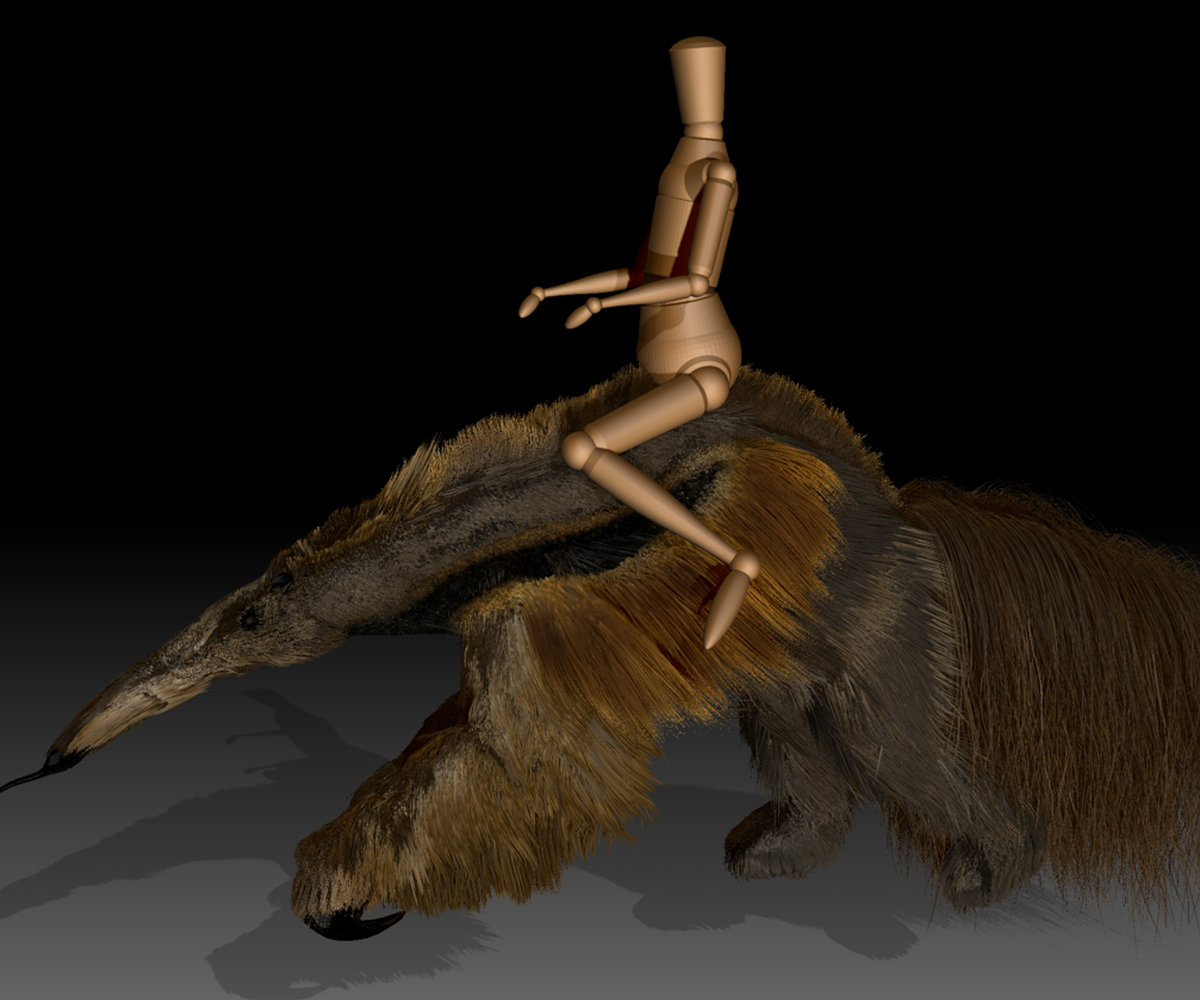 GIANT-ANTEATER-7.jpg