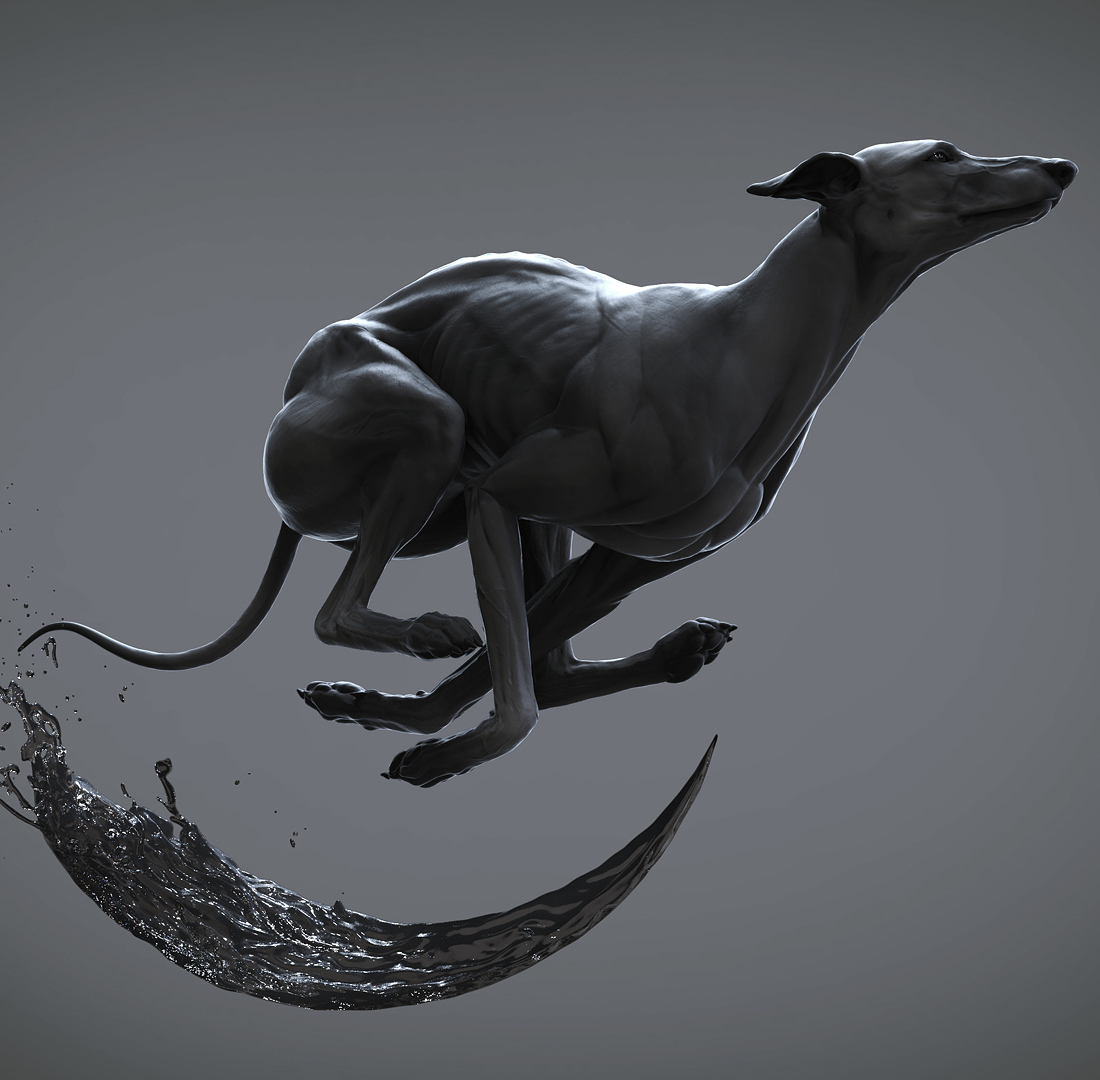 dog001.jpg