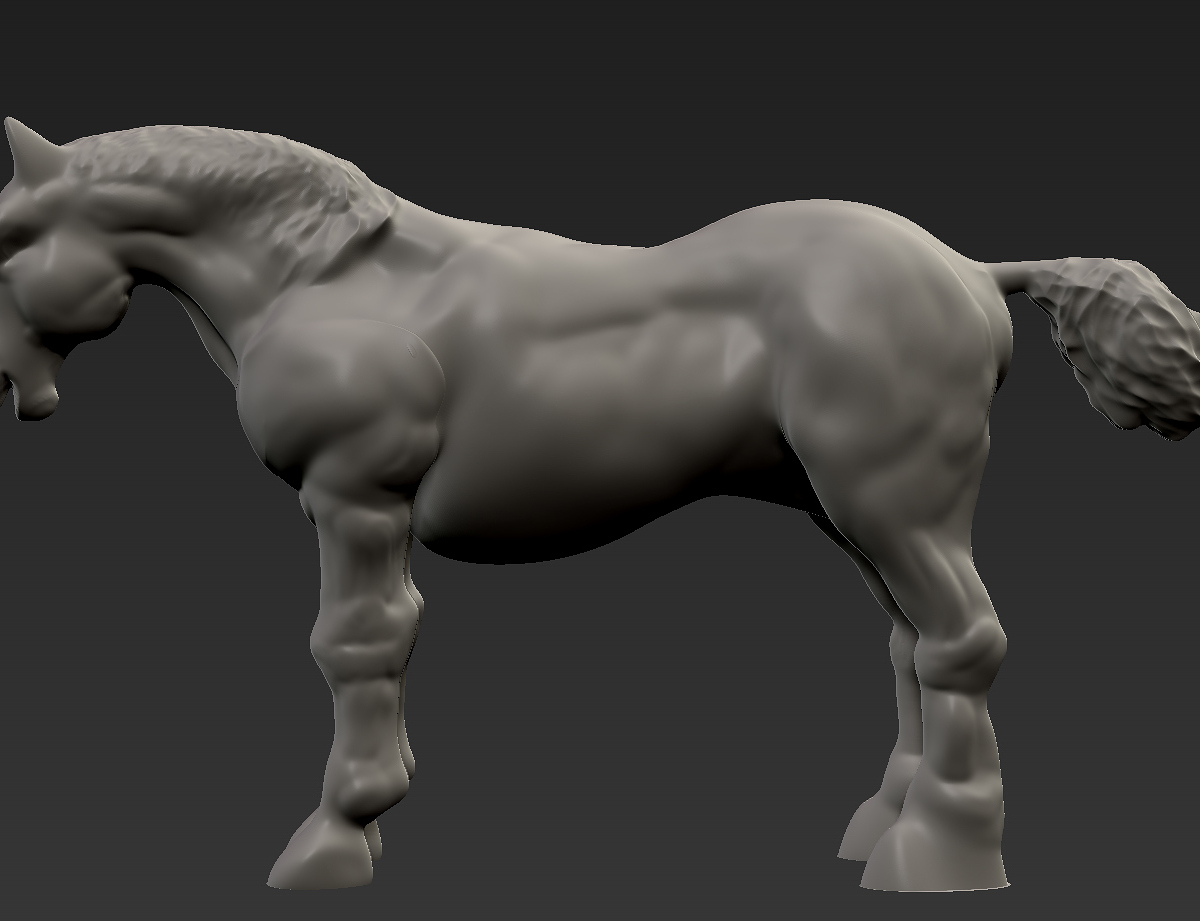 horse2.jpg
