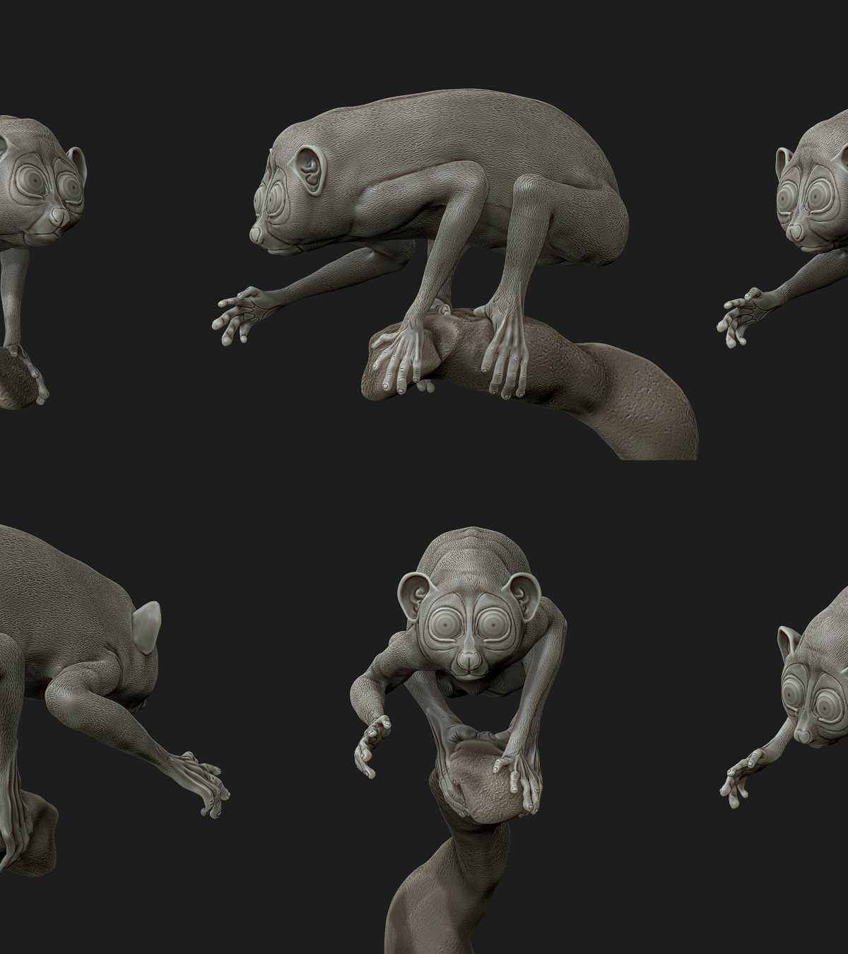 Loris_00000.jpg