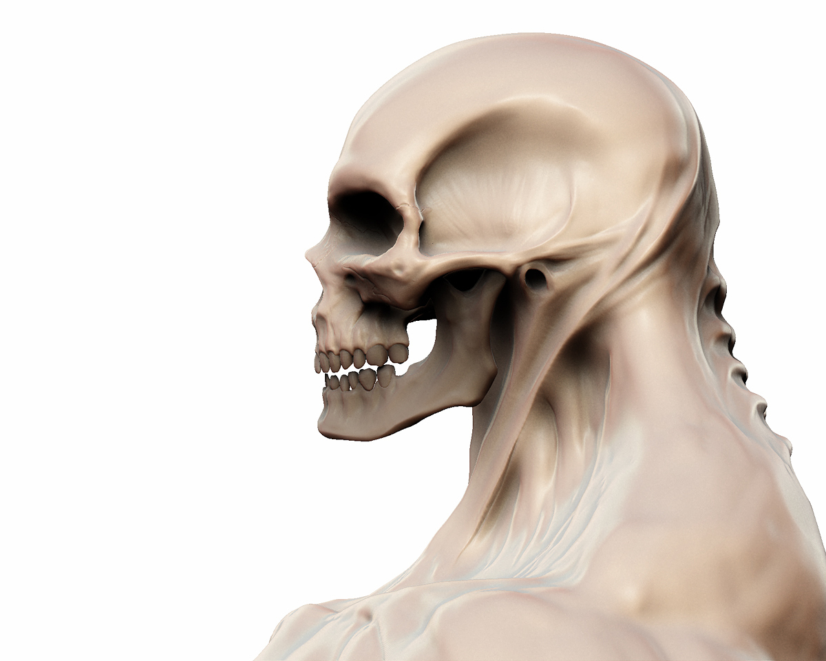 skeletorupdateB_04.jpg