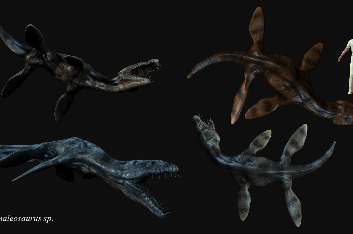 Rhomaleosaurus views pr.jpg