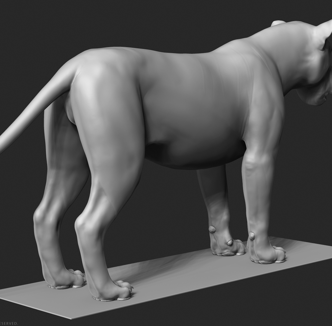 manuelf-Lion_HighPoly_5.jpg