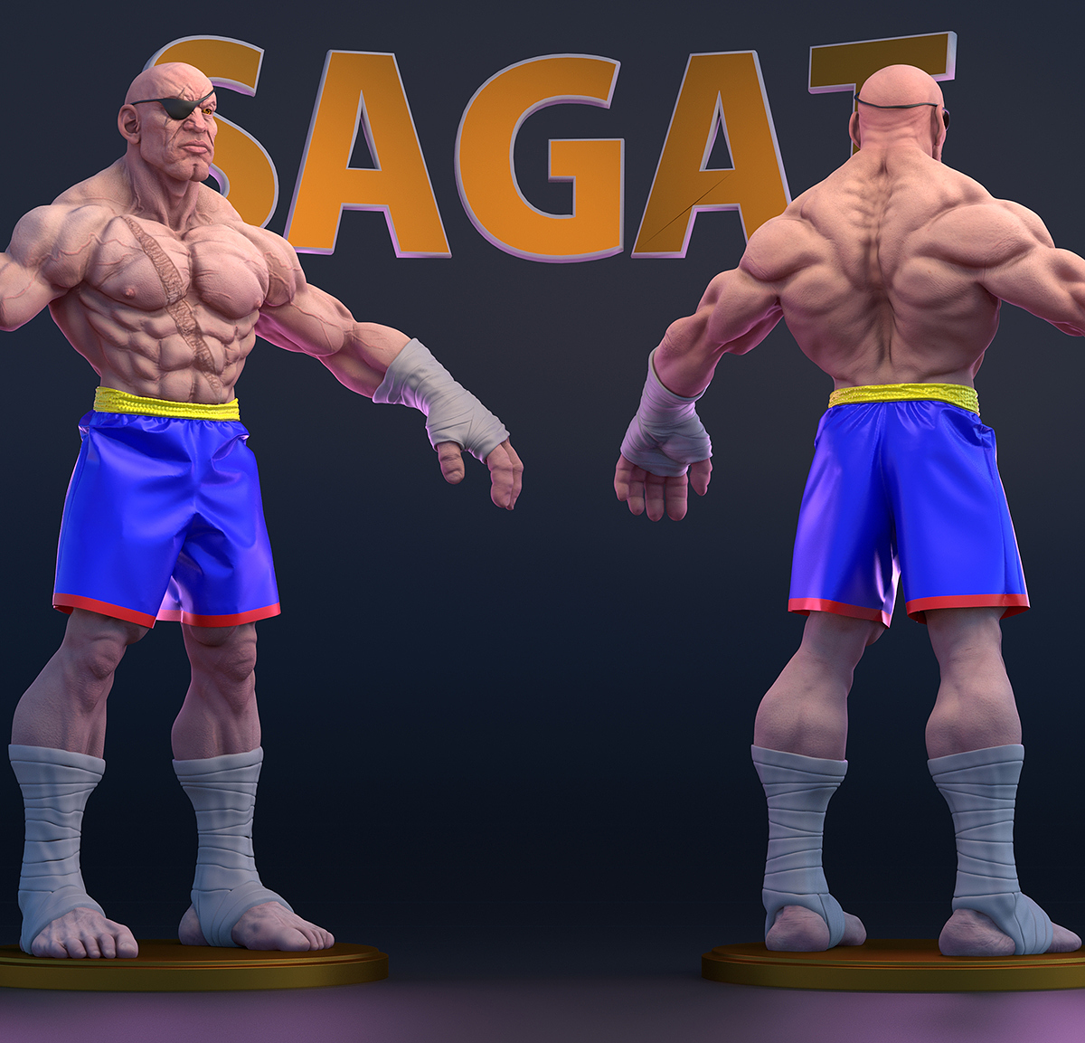 SagatLargeAposewebquality.jpg