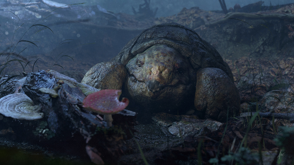 turtle001