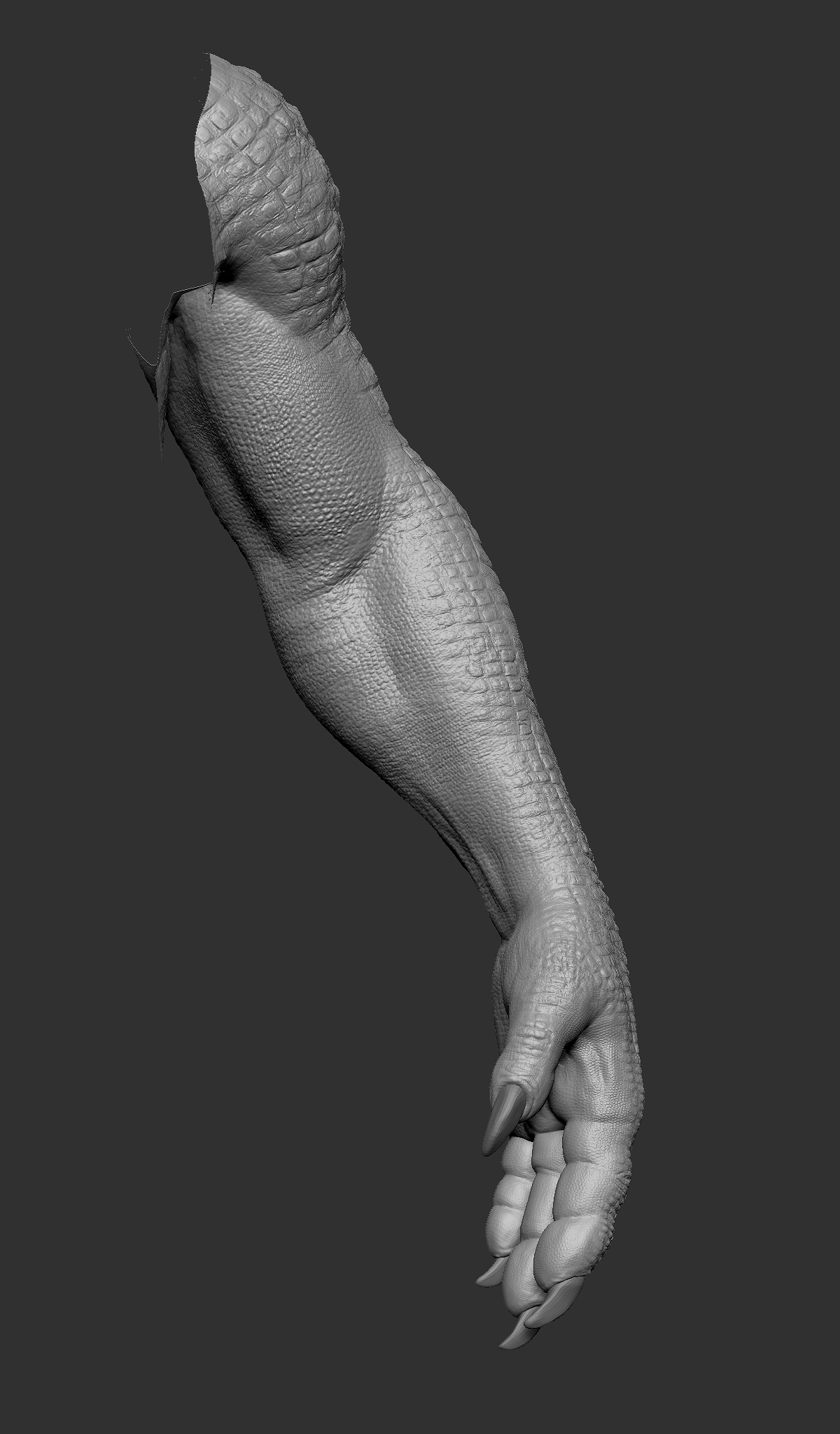 HAND.jpg