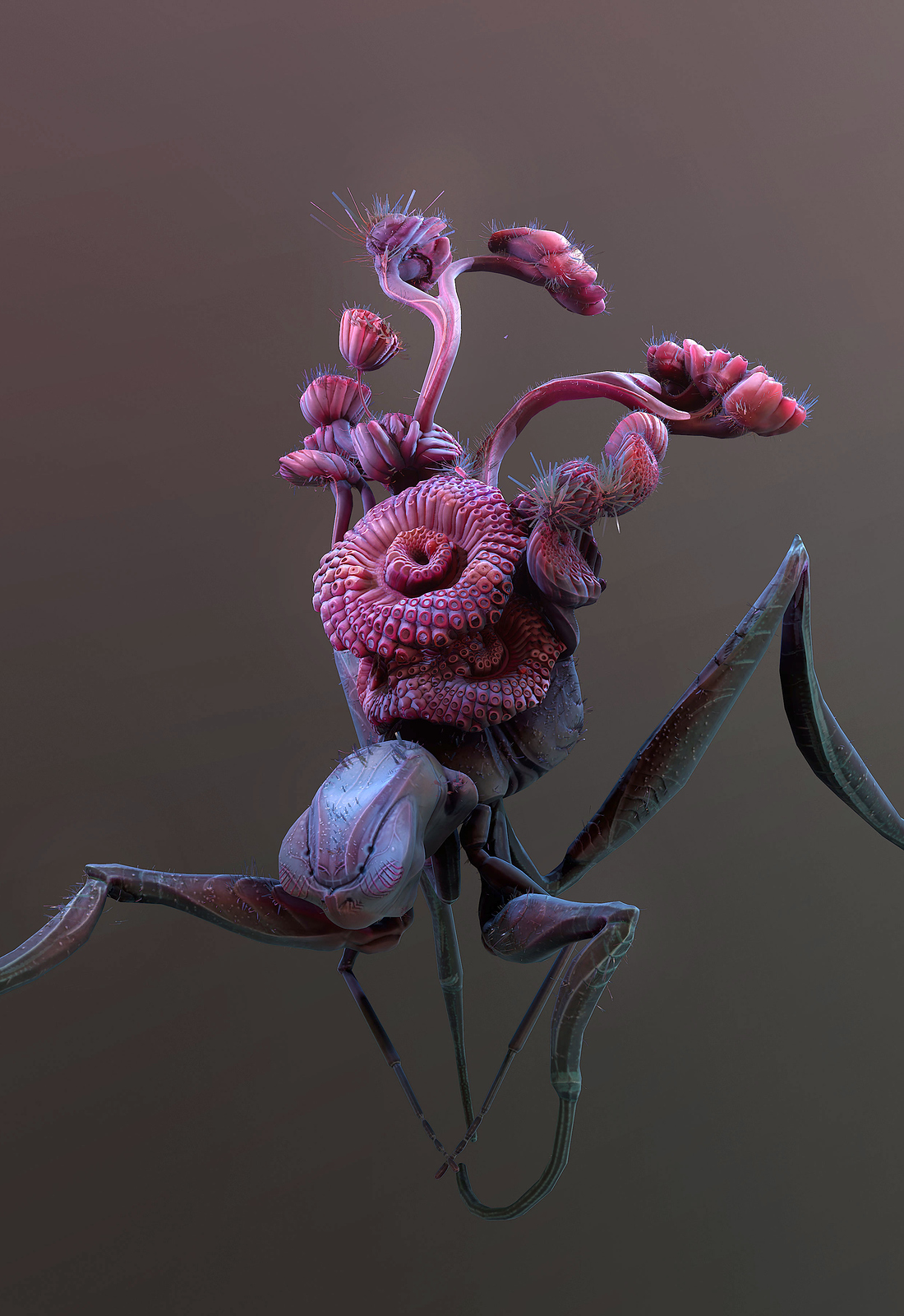 fruitSpider03.jpg