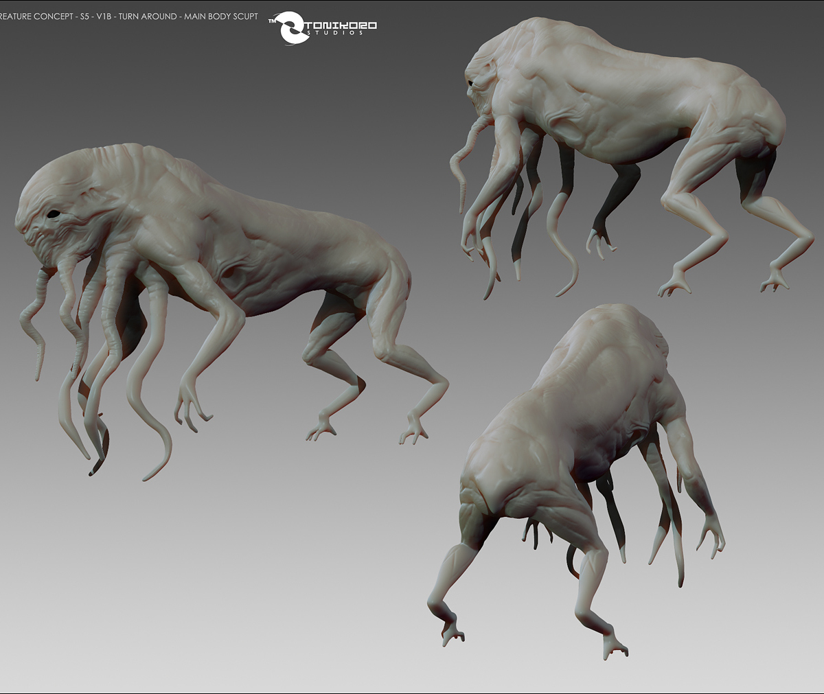 cc-s5-v1a-turnaround-wip.jpg
