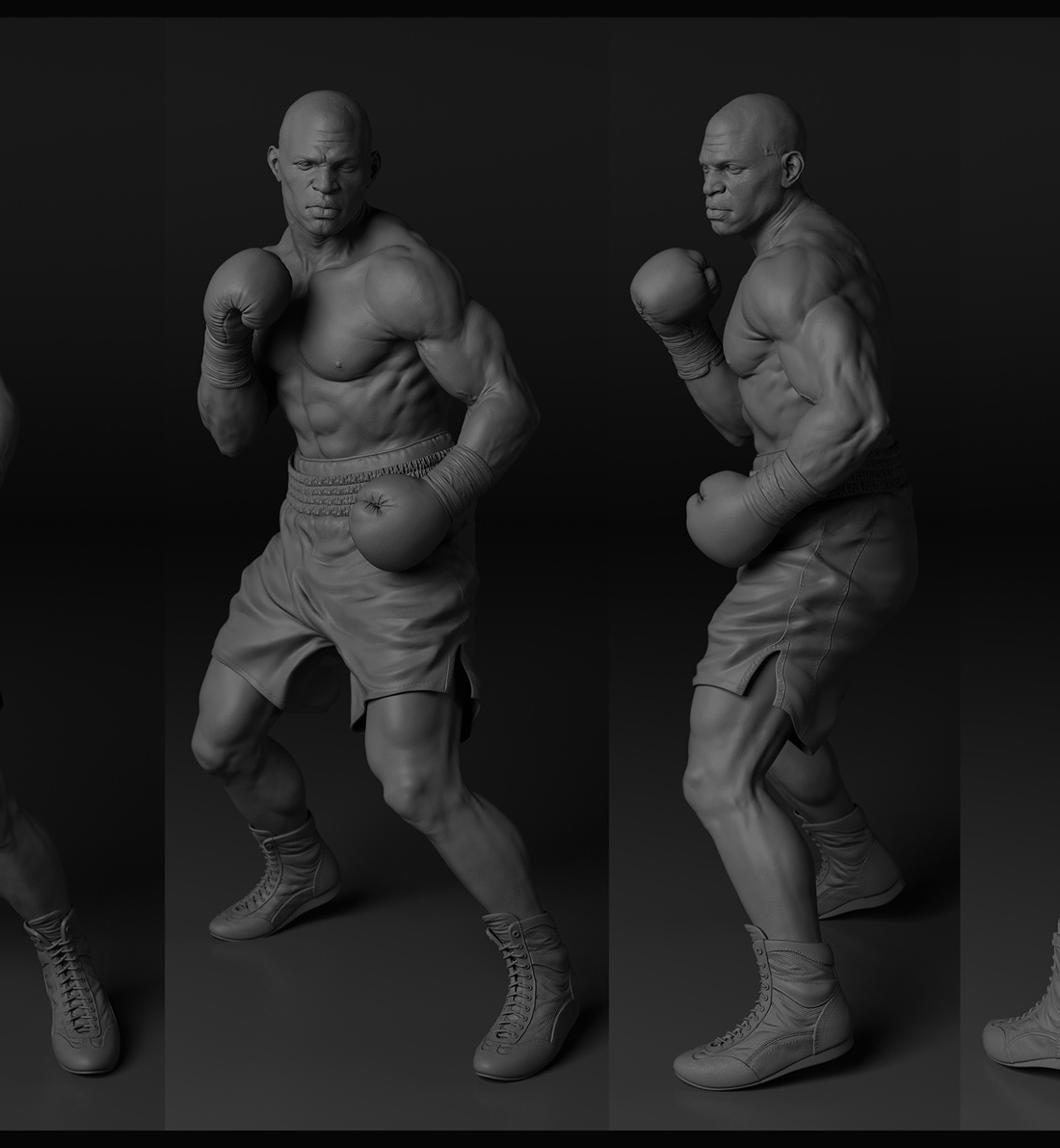BOXER3_oranc.jpg