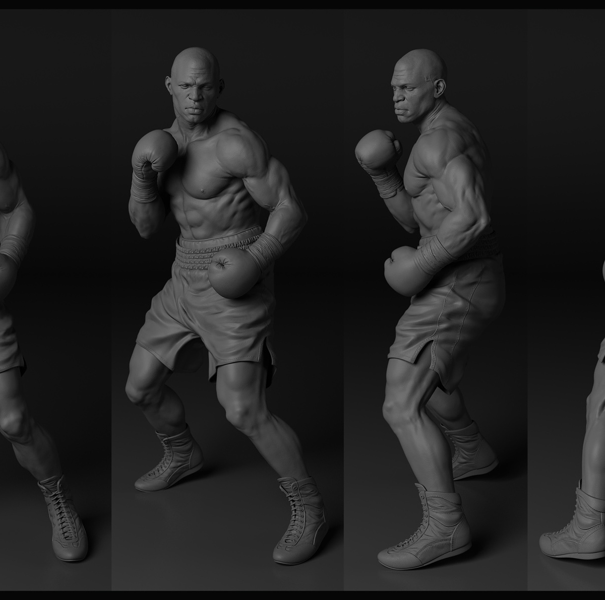 BOXER3_oranc.jpg