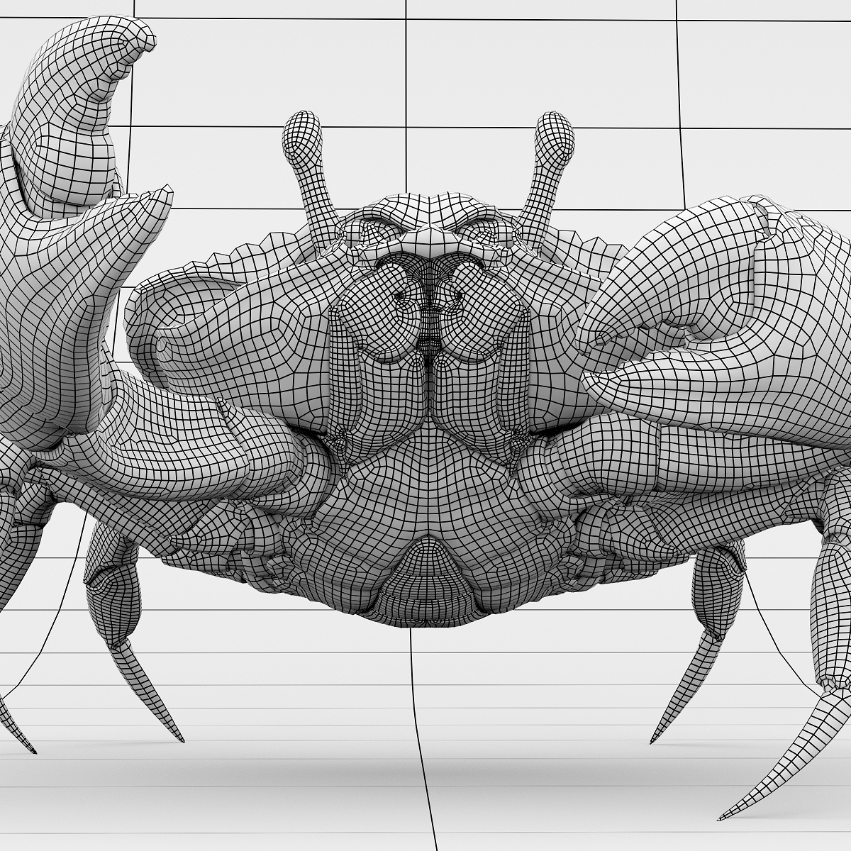 Crab_Shot_02_WireFrame.jpg