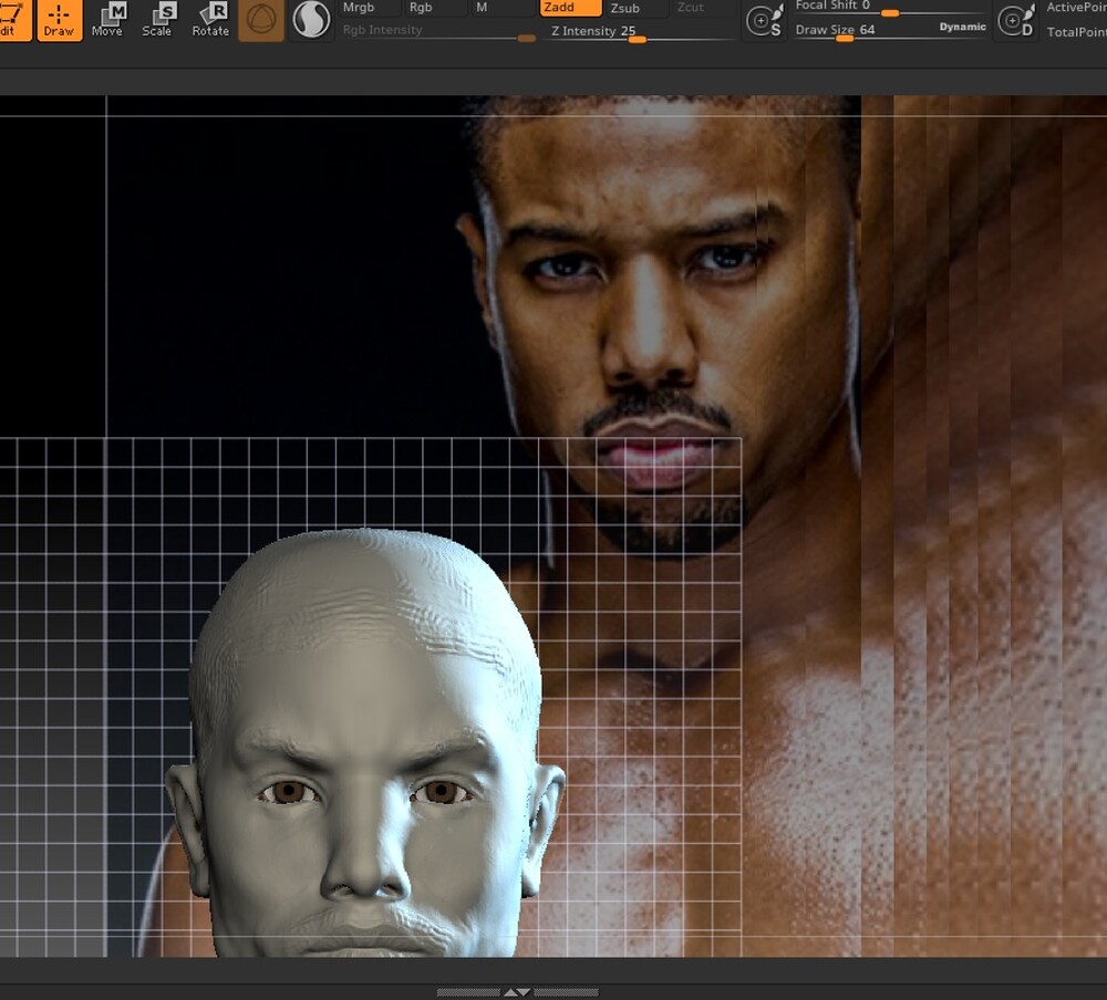 zbrush reference distortion.jpg