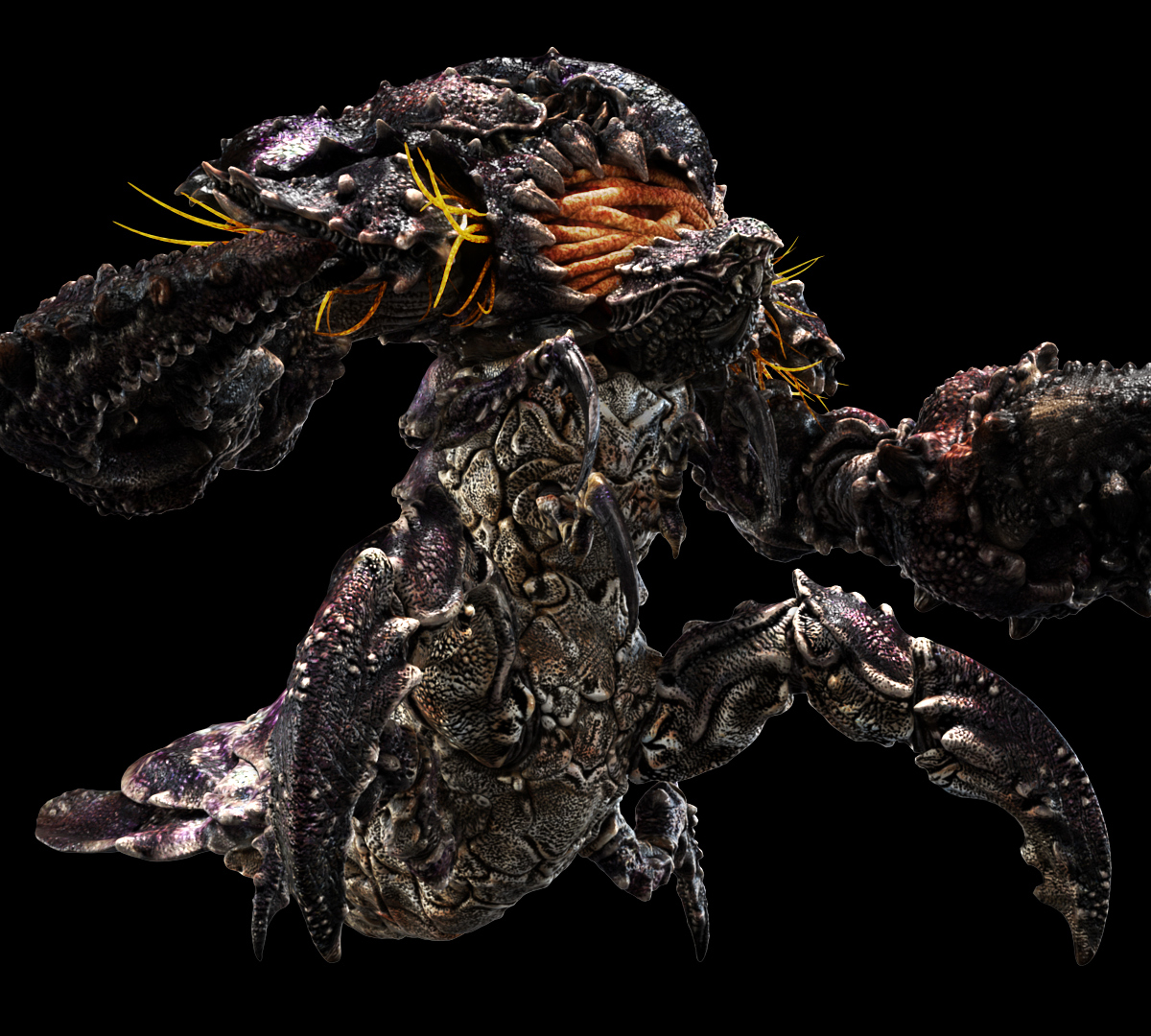 VoodooVisual_Crab_03.jpg
