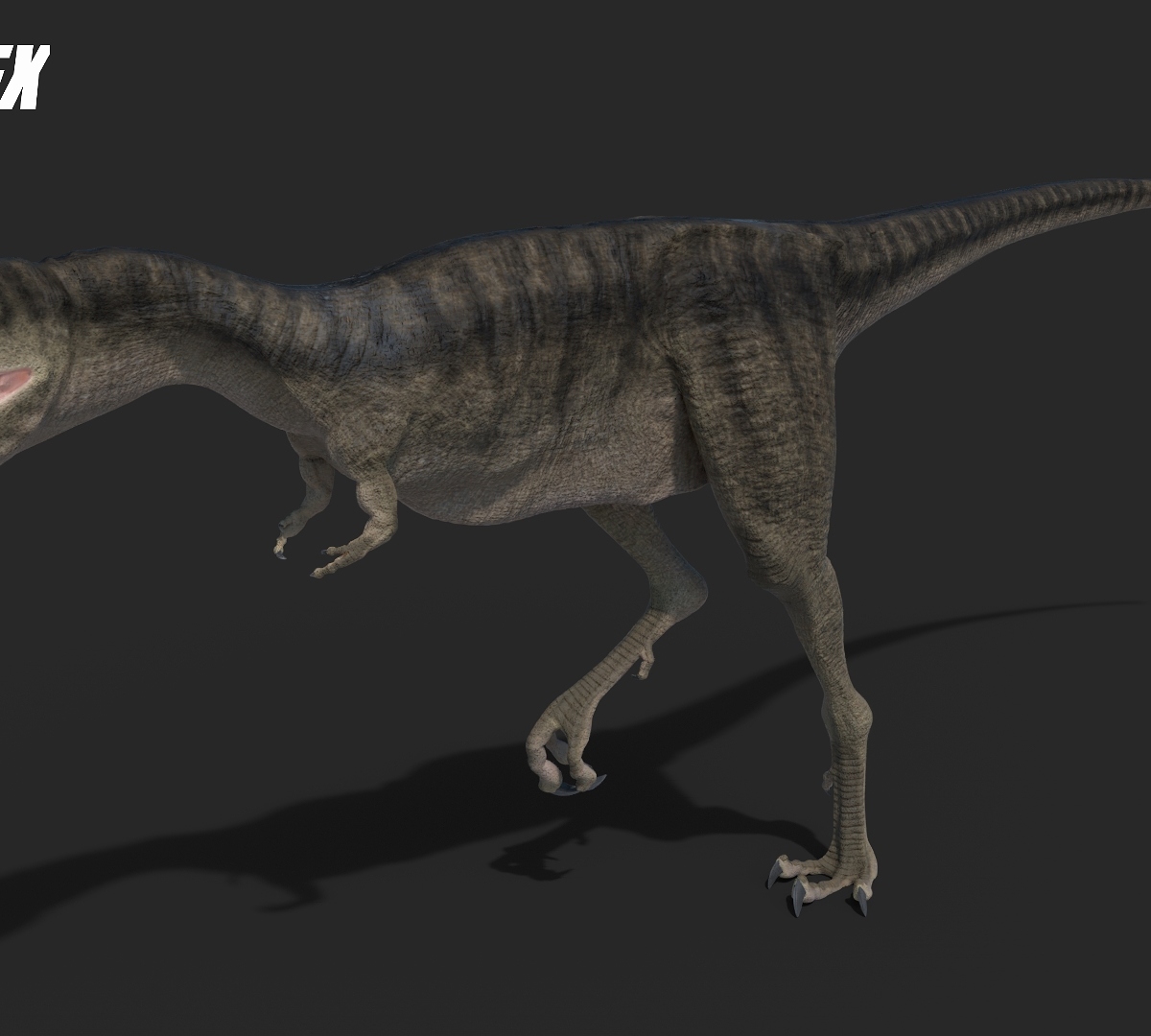 Raptorex2_by_Jeannot_Landry_2018.jpg