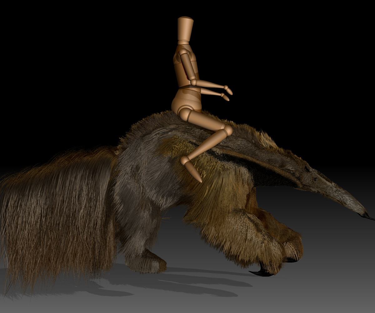 GIANT-ANTEATER-8.jpg