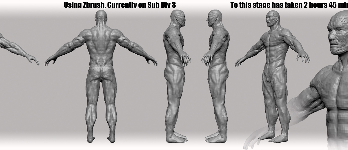 Male_anatomy_wip_Current_stage_subdiv_3.jpg