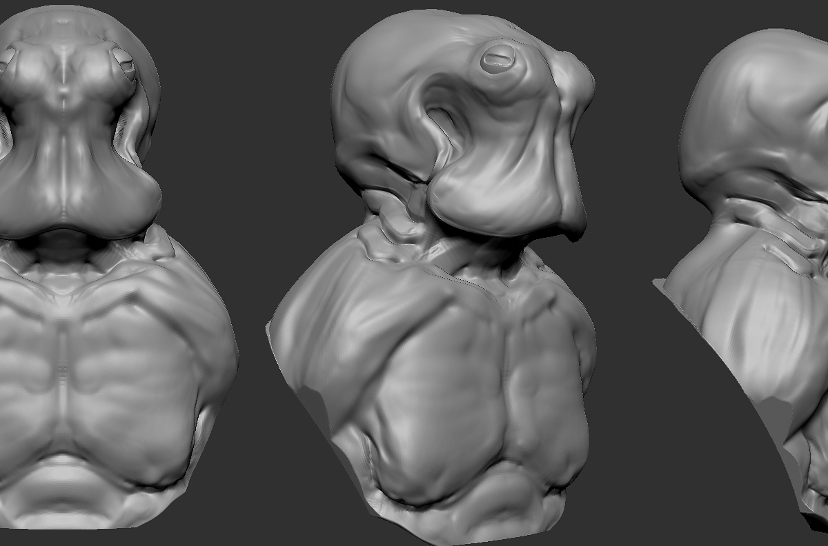 octo_ortho.jpg
