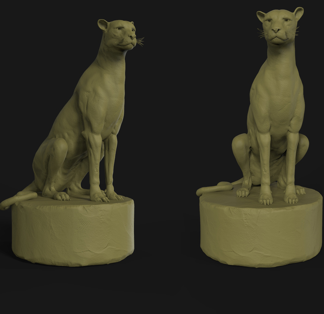 cheetah.jpg