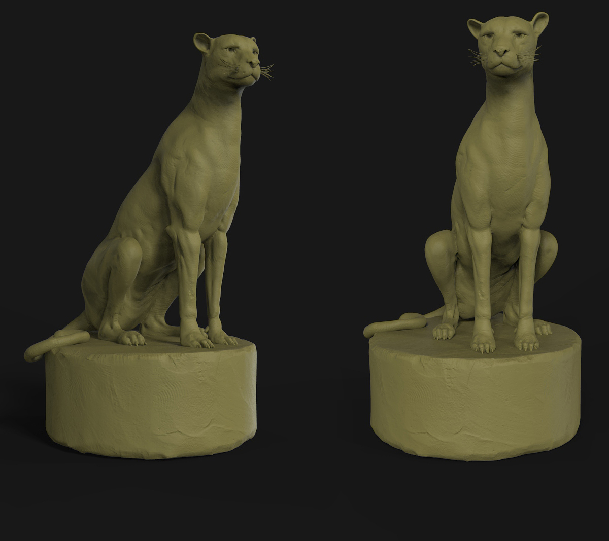 cheetah.jpg