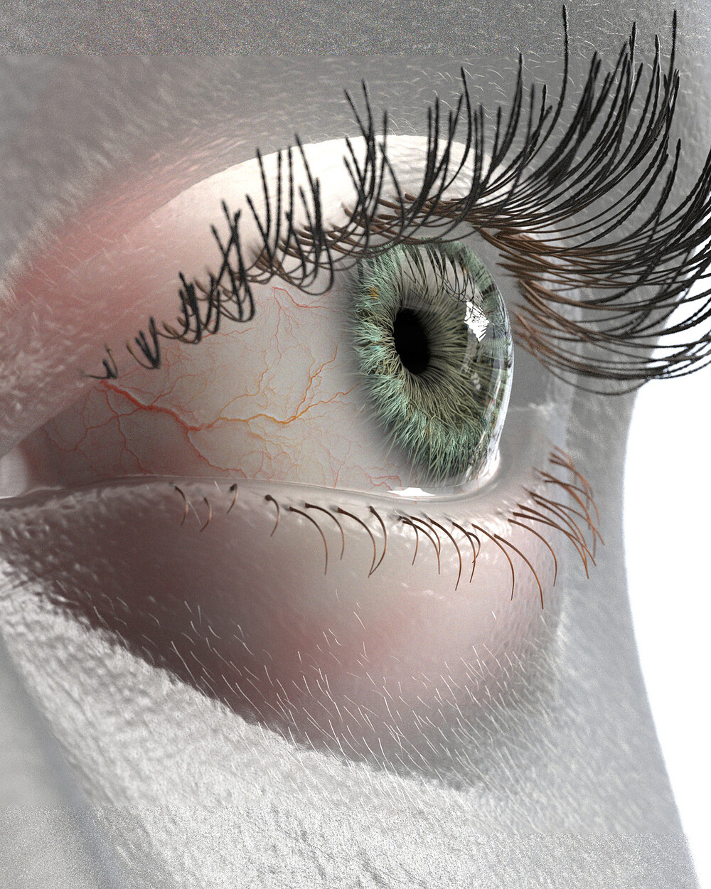 71_eye.jpg