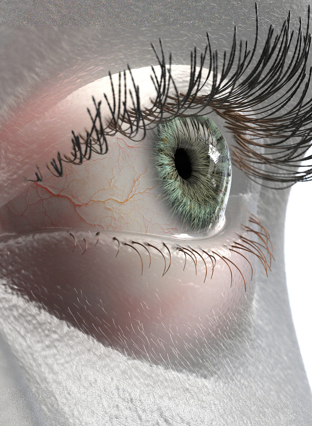 71_eye.jpg