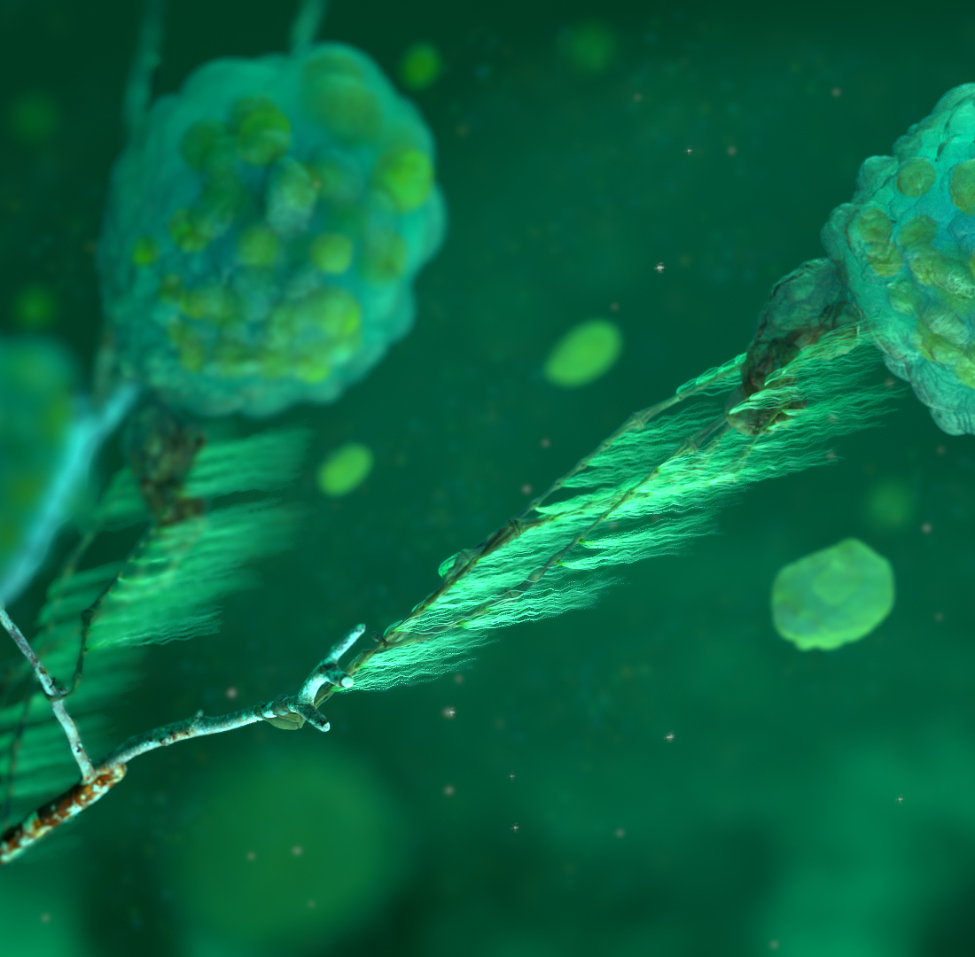 streamCreature_View01.jpg