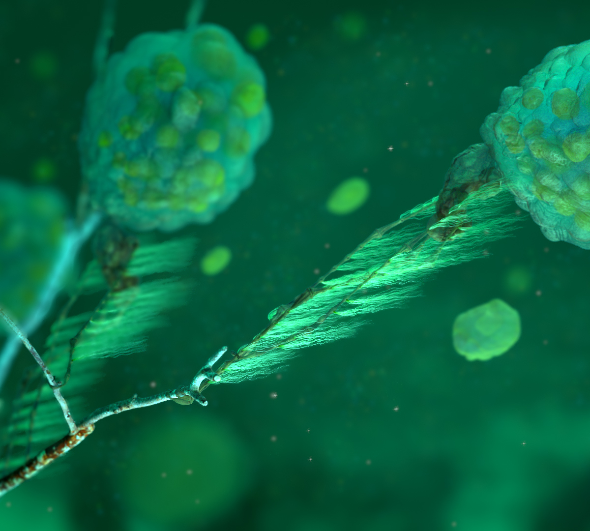 streamCreature_View01.jpg