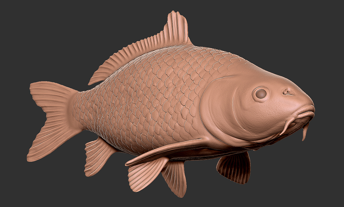 zbrush_carpa