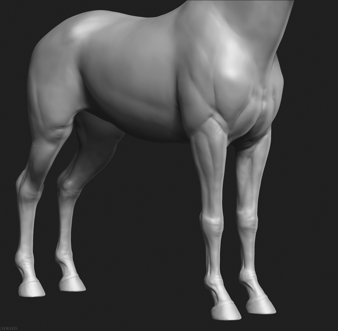 manuelf-3d-Horse-HighPoly_8.jpg