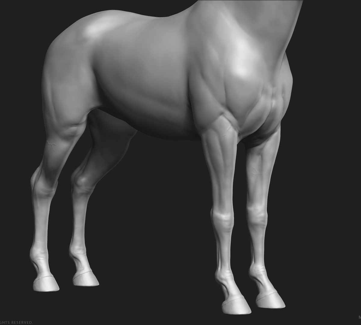 manuelf-3d-Horse-HighPoly_8.jpg